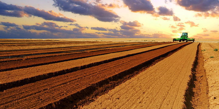 Land- en bosbouw